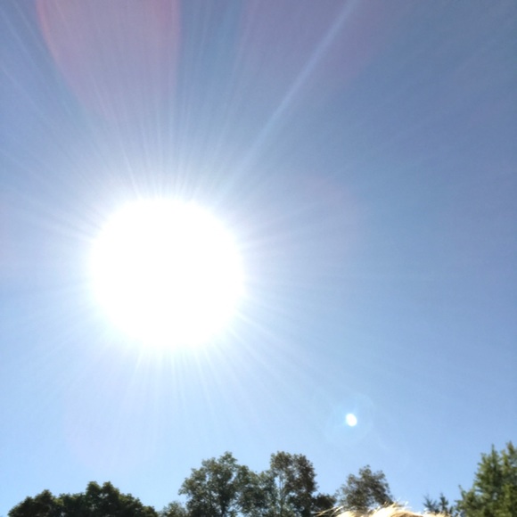 Meet your Posher, Andrea - Picture 1 of 1